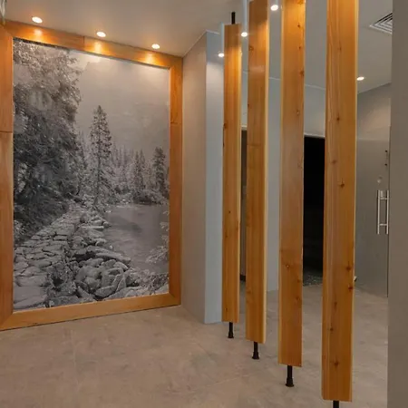 Vacationclub - Zakopianskie 231 דירה זקופאנה